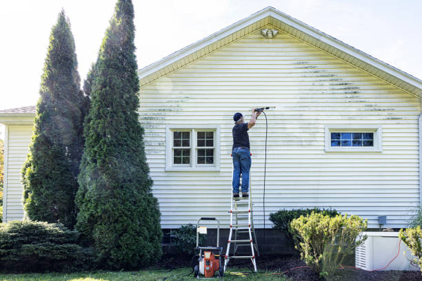 Solar Panel Cleaning in Newark, AR